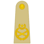 Field marshal insignia pak army