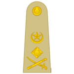 LGENERAL GEN insignia pak army 1