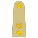 LIEUTENANT COLONEL LT COL insignia pak army
