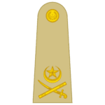 LIEUTENANT GENERAL LT GEN insignia pak army
