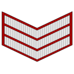 havaldar insignia pak army