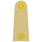 major insignia pak army