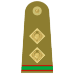 subaydar insignia pak army