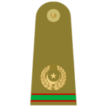 subaydar major insignia pak army